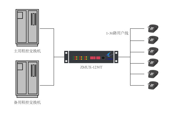 ZMUX-1230T組網(wǎng)應(yīng)用圖